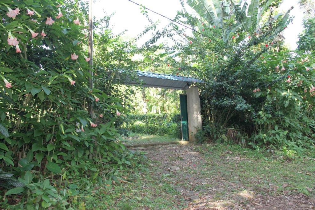 Bema Farm Villa Sao Jose Luaran gambar